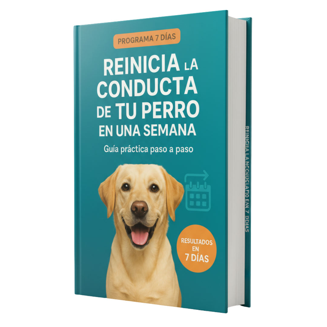 Reinicia la Conducta de tu Perro en 1 Semana
